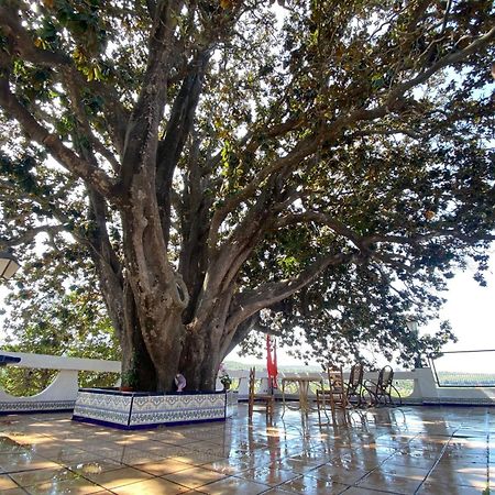 Casa Magnolia, A Rural Paradise House With Pool Alzira Exterior photo