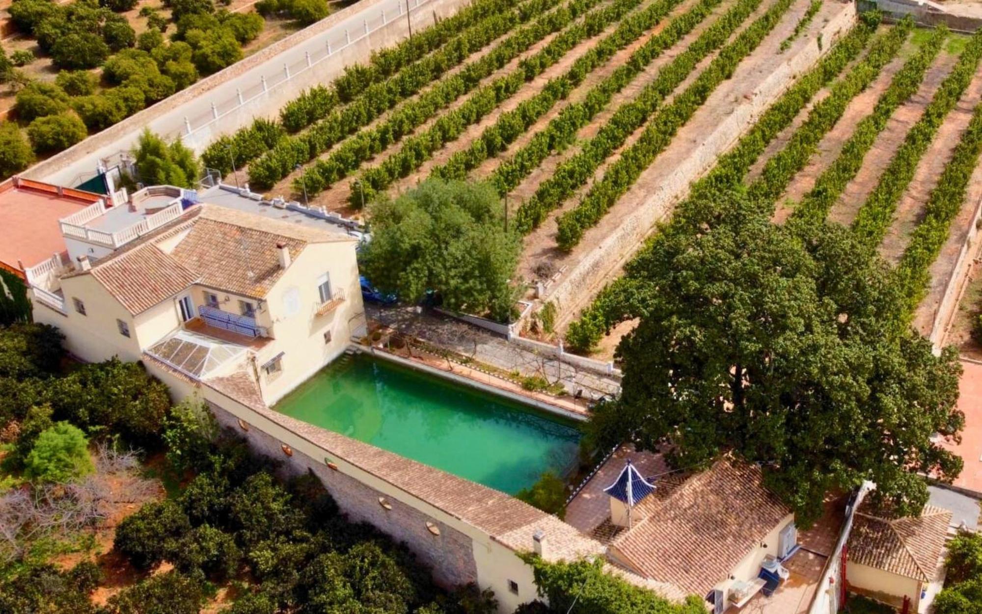 Casa Magnolia, A Rural Paradise House With Pool Alzira Exterior photo