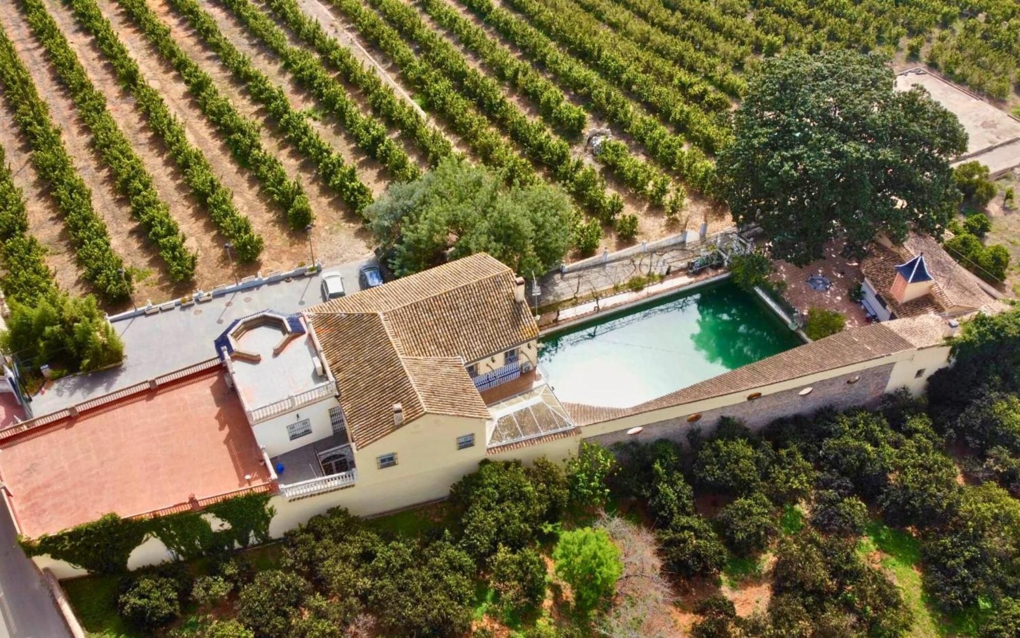 Casa Magnolia, A Rural Paradise House With Pool Alzira Exterior photo